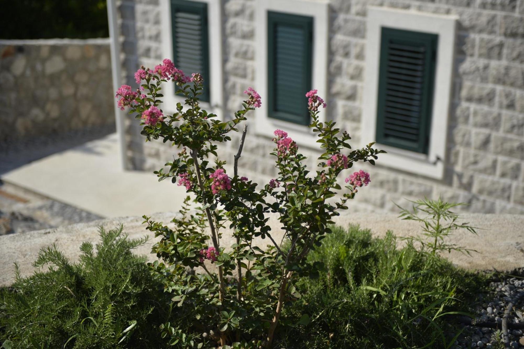 Villa Vista Azzurra Tivat Eksteriør billede
